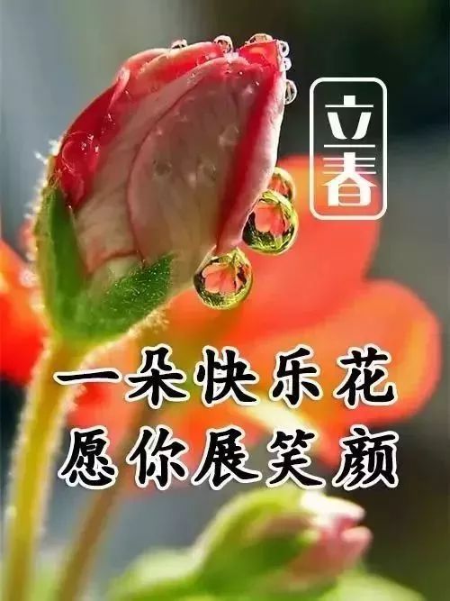 明日立春,最早的问候,送给我最珍惜的朋友!_祝福