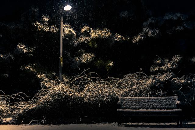 原创同事说北京下雪了,因为疫情无法回京,翻看一下上一次下雪的照片