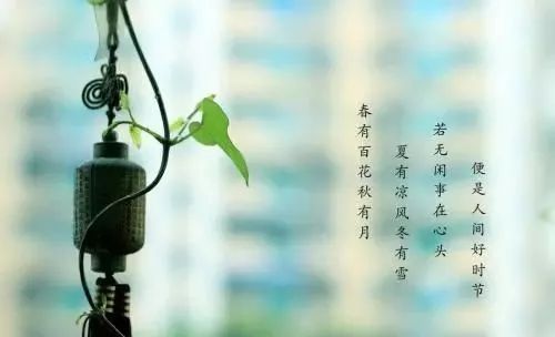 1188a6a1eb10473fb7b01861178dfc37.jpeg