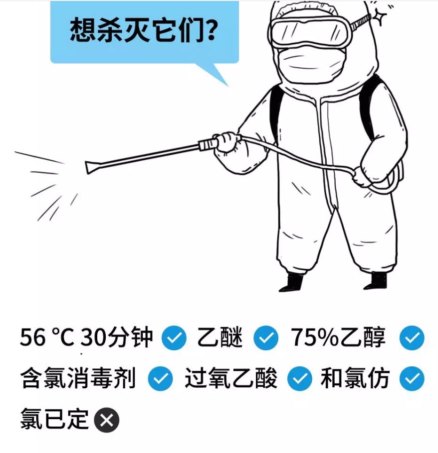 138ea08ef6ac47e0a076516e2e8fca56.jpeg