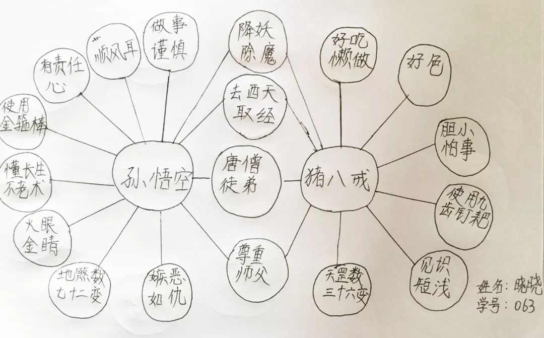 而另一位昕淳同学,选择用双气泡图描绘出她眼中,脑中的"玫瑰公主"和"