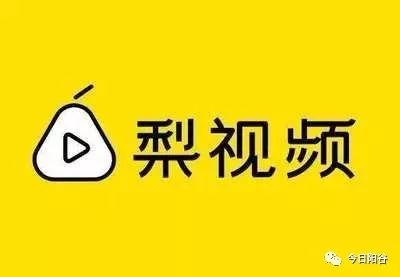 辛集招聘信息网_辛集人招聘网(4)