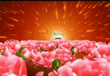 2cc1f57dcc0148bcb2d4a296d5d9f89c.gif