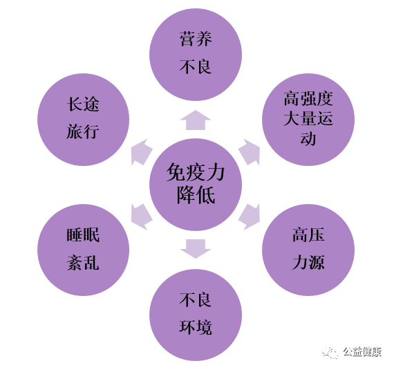 149运动人群的免疫健康