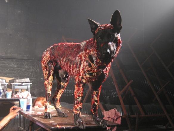 《生化危机》系列历代僵尸犬演变玩家最忠实的朋友