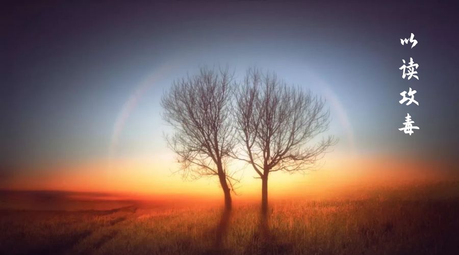 假如生活欺骗了你|今日朗读