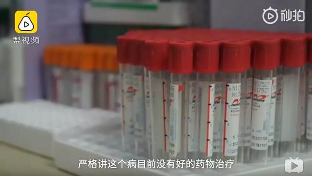 疫情和谣言齐飞，我们应该做什么