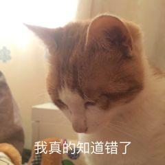 4be3f824f17b4b59aed1b768e6eeb904.jpeg