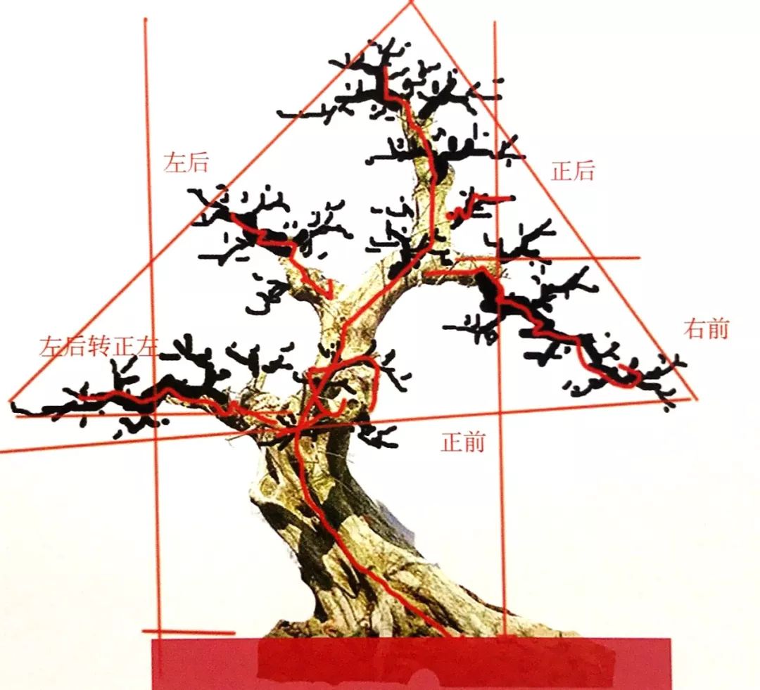 树相高耸,轩昂.格调潇洒,飘逸,前瞻,有引领大势. 【设计要点】 1.