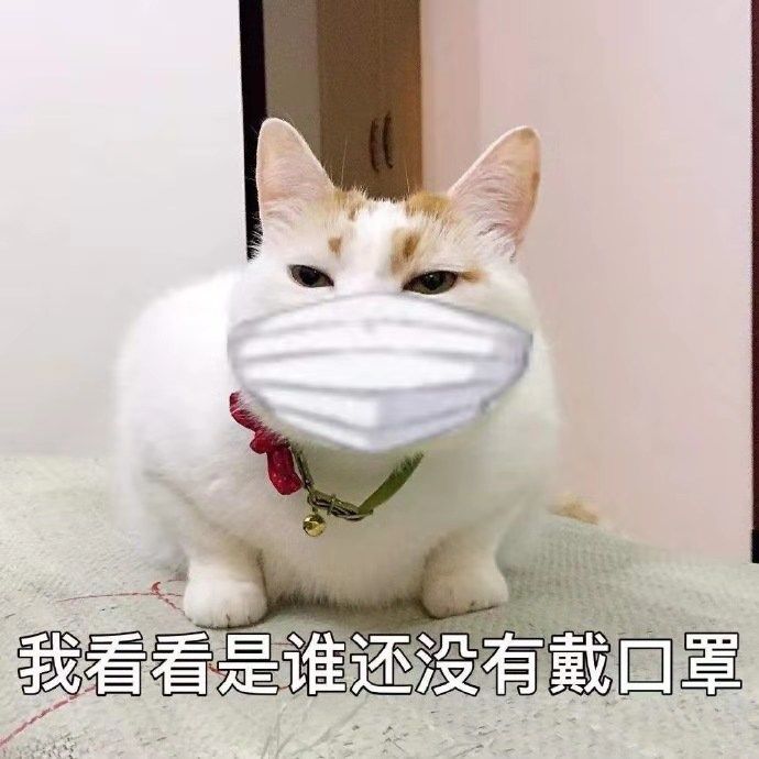 害人口罩_戴口罩的卡通图片