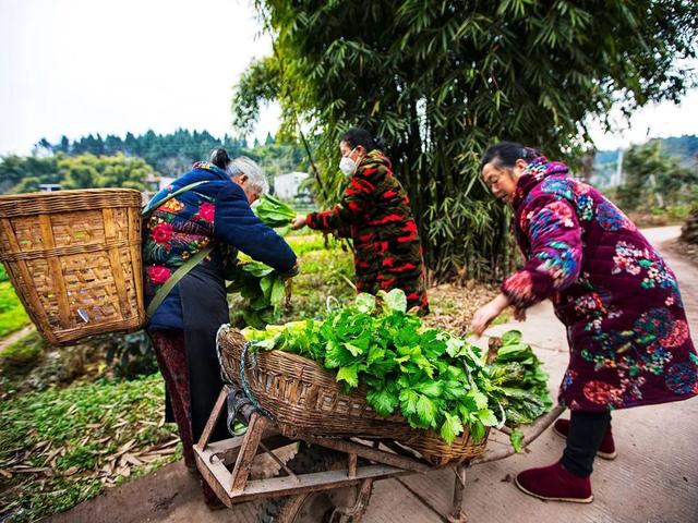 抗击疫情，摄影人在行动，镜头下的感人瞬间