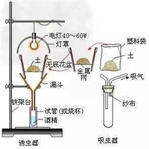 酵母的原理_)该过程表明酵母菌异化作用的特点是   )葡萄酒的酿制原理是:先通气使酵母菌进行(3)