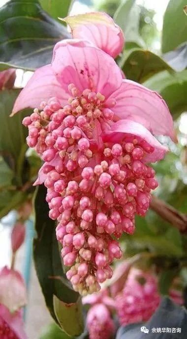 余姚学会计：2020年初级会计实务过关试题四（最新发布）