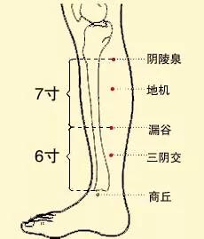 96d79cdf0c234100aa983b048991ebc7.JPG