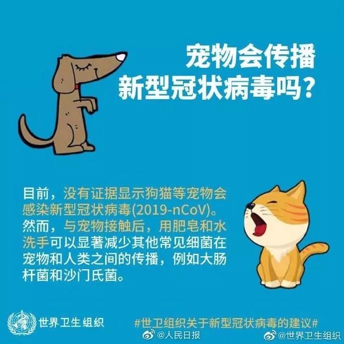 a2d7139cca7847d5aefb5e286cd0983a.JPG