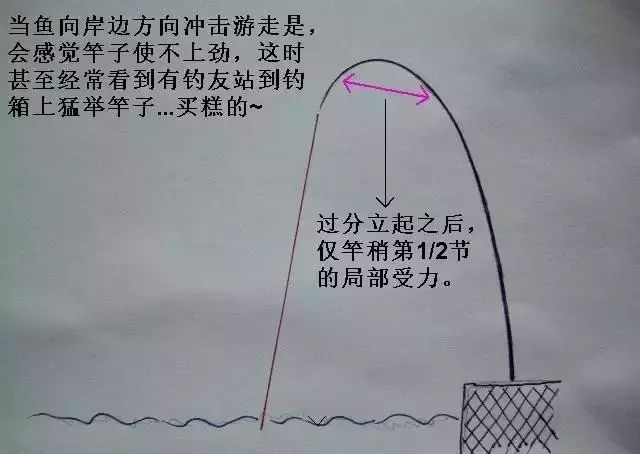 a9c38c73925e43be98191e9ea52660f7.jpeg