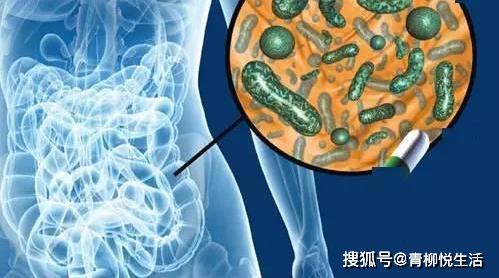 什么是生物制剂它有何用途 aaabc5e7317b461380ef8a8eb8ba5a16.jpeg