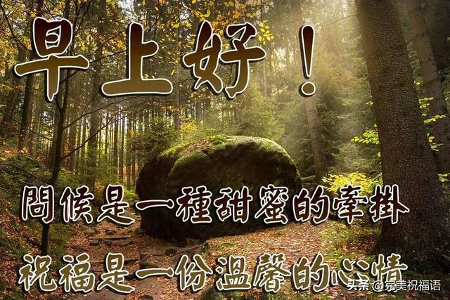 朋友圈最美早安问候图片带字温馨 最新早上好问候图带