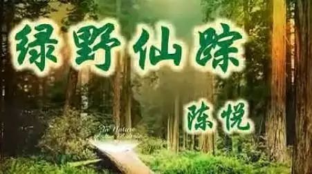 绿野仙踪陈悦简谱_幽林深处简谱陈悦(3)