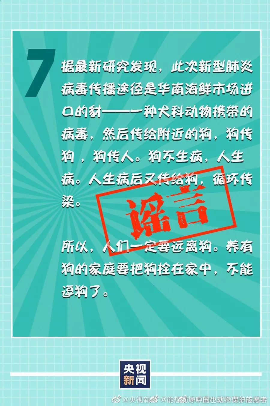 不要隨便遺棄！沒有證據證明寵物會感染新型冠狀病毒！ 寵物 第5張