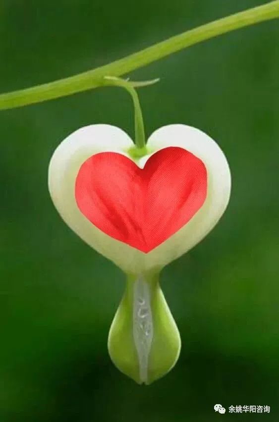 余姚学会计：2020年初级会计实务过关试题四（最新发布）