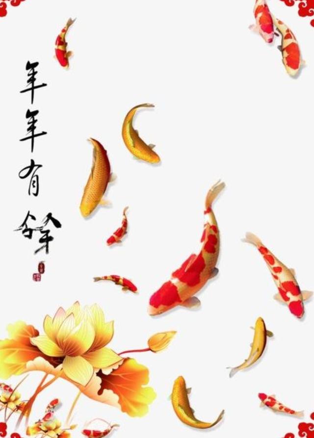 黄金转运锦鲤,见之转好运,平安吉祥