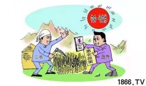 现代农业技术推广：从播种到收获的每一步