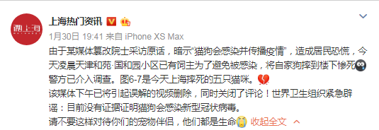 不要隨便遺棄！沒有證據證明寵物會感染新型冠狀病毒！ 寵物 第3張