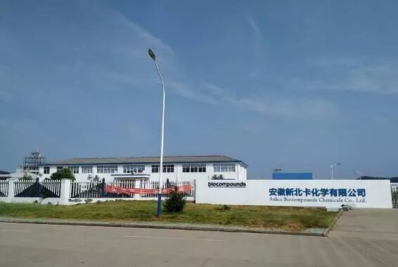 东至县gdp2020_东至县大渡口中学图片