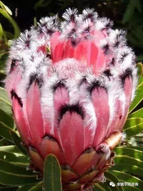 余姚学会计：2020年初级会计实务过关试题四（最新发布）