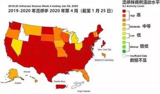 流感病毒人口_流感病毒图片(3)