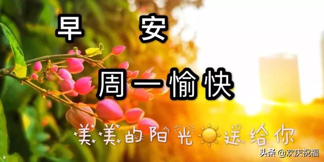 2020年2月3日早上好祝福大全 早安星期一表情图片带字带美女问候