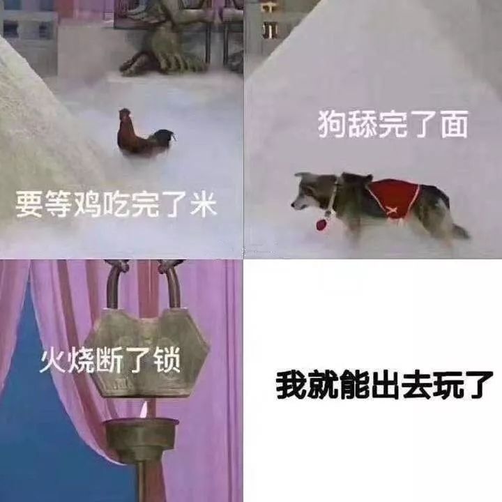 近期热图_表情