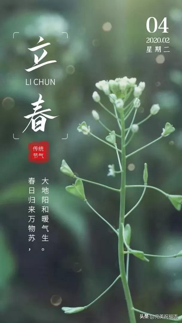 2020-02-04 04:28来源:完美祝福语 立春来到,春暖花开!