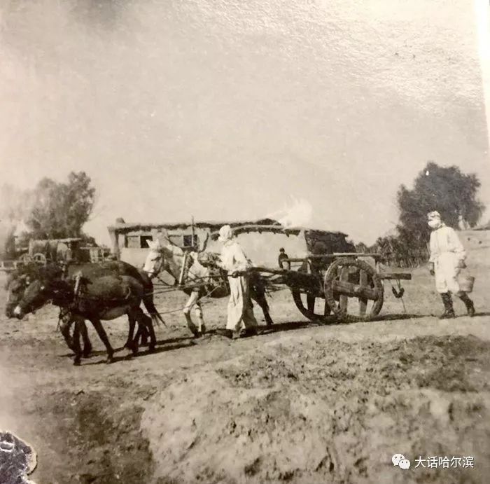 捍卫生命的搏击1949年的一段抗击肺鼠疫往事