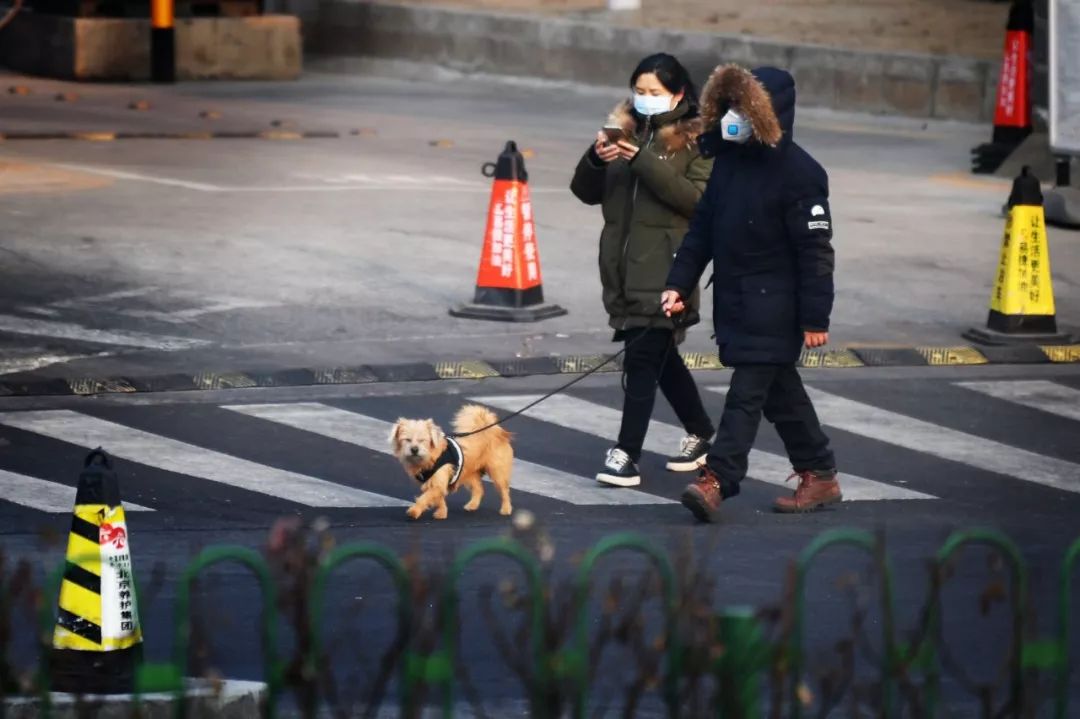 疫情之下你在经历着怎样的生活