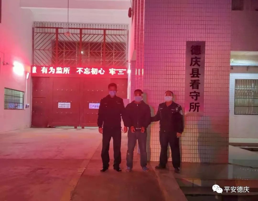 德庆县有多少人口_德庆县香山中学图片(3)