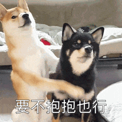 26523ef80515479c966b3af8462f2b82.gif