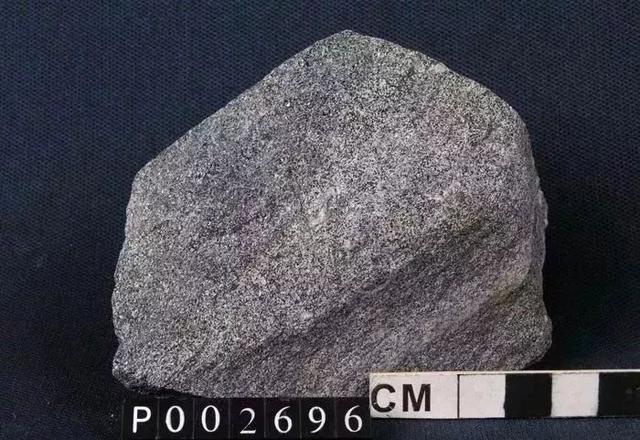 39 角闪石片麻岩 amphibole gneiss