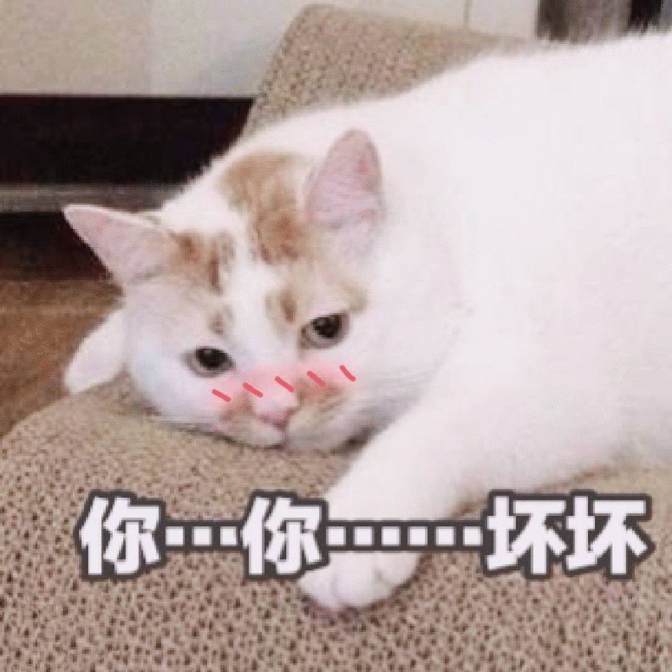 61719dc92b16483e8b8c5bc36f61fc01.gif