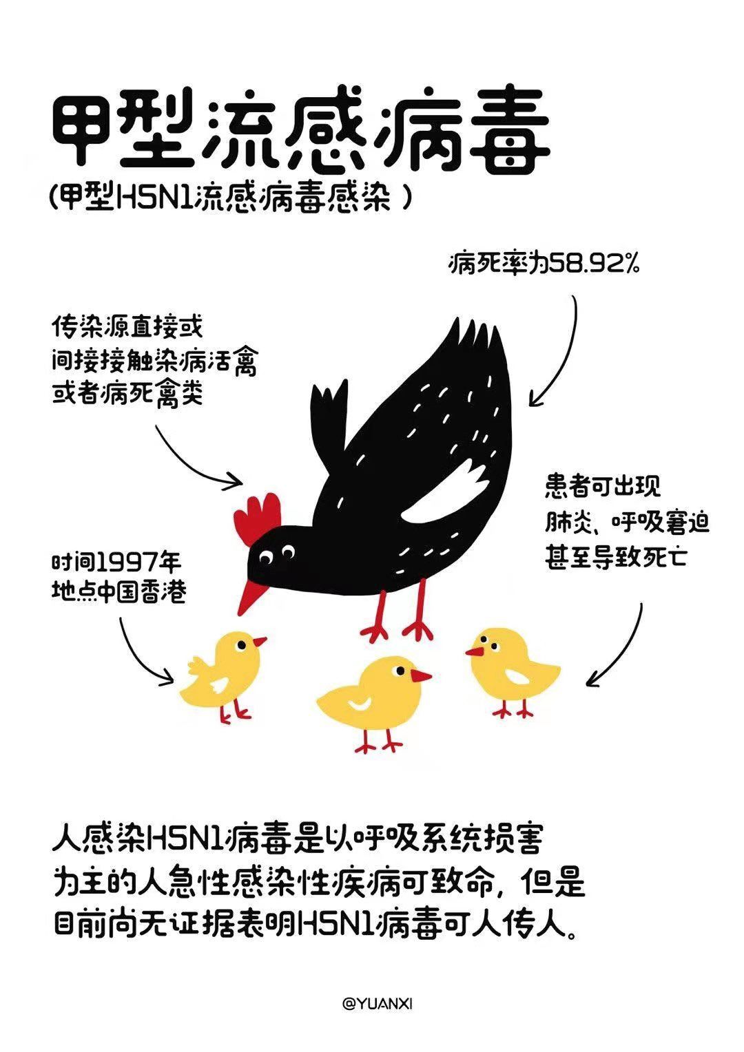 『我的孩子想吃野味,怎么办?』_病毒