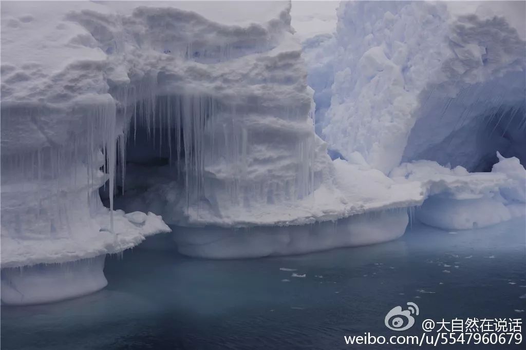 10分钟短片震撼朋友圈：“对不起，大自然不需要人类”