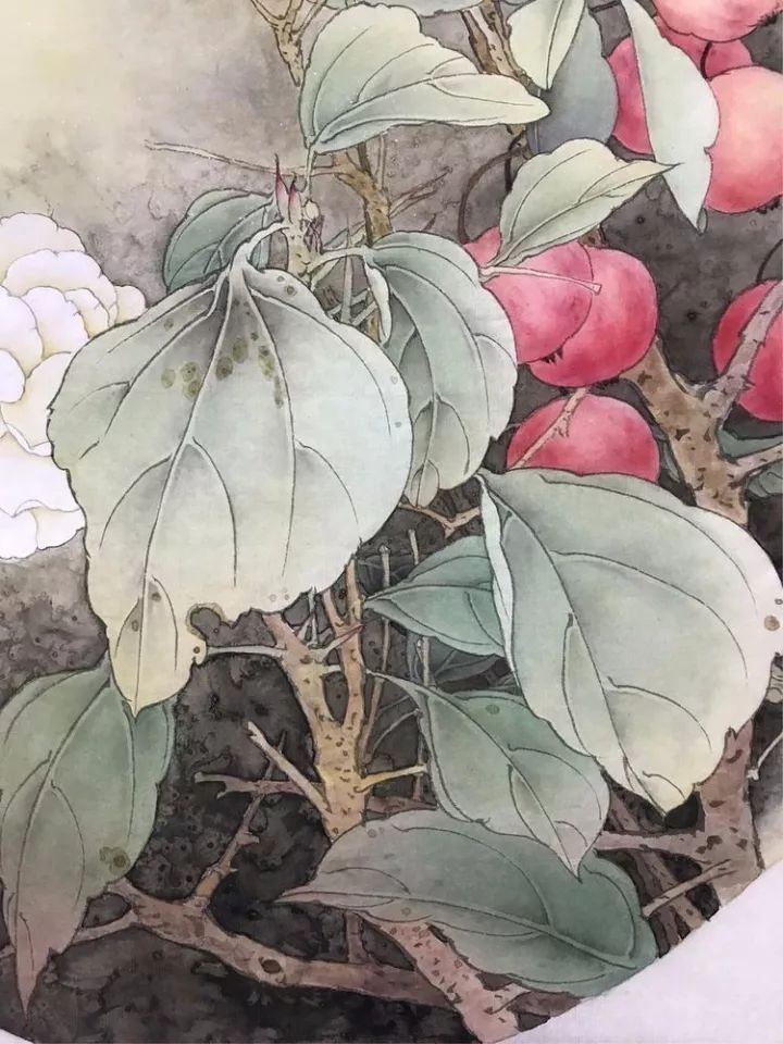 工笔岁月静好没骨画海棠花绘制示范工笔画的线条美