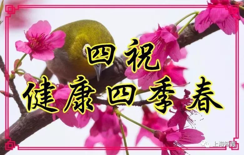 祝你春风得意!春天快乐!_祝福