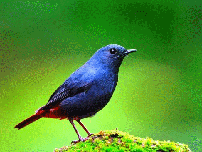 立春到了,赶紧把立春的第一条信息 发给你最牵挂的人吧!