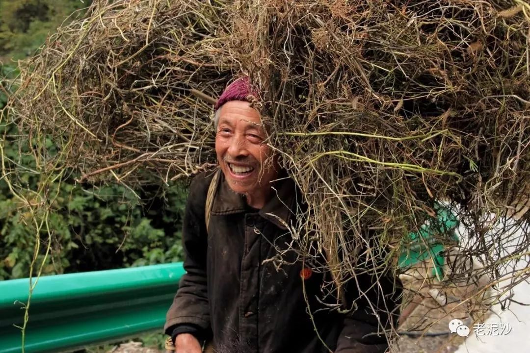 热爱劳动的山区老人