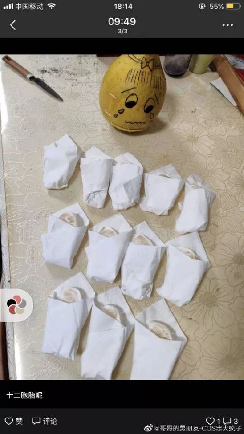 兽舞什么成语_成语故事图片