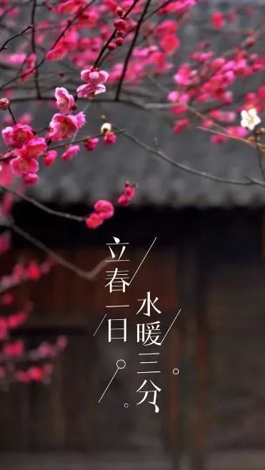 b770869e85e14ebdaf5cb0c37661c6fb.jpeg