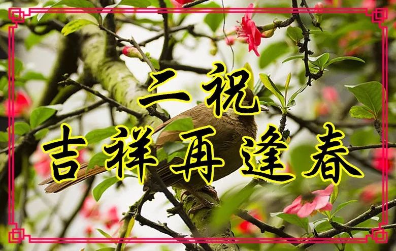 今日立春,最美祝福送给你,祝你立春快乐!