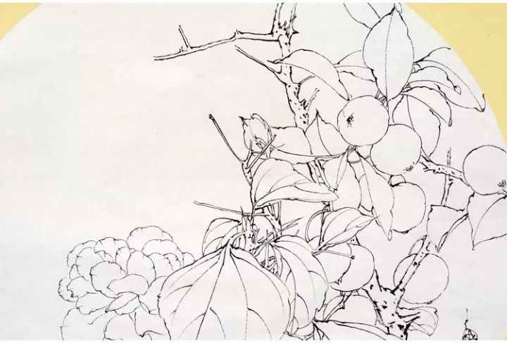 工笔岁月静好没骨画海棠花绘制示范工笔画的线条美